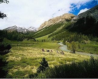 恐怖游戏《无归》首支预告片公布 游戏支持中文