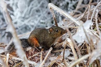 JAST发行的全动画演绎视觉小说《SISTERS~夏日的最后一天~》现已支持简体中文！